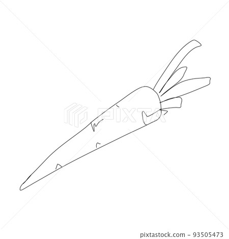 Carrot vegetable in continuous line art drawing style. Carrot plant minimalist black linear sketch isolated on white background. Vector one line 93505473