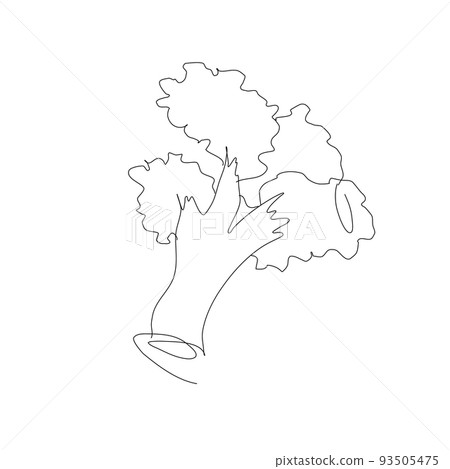 Broccoli vegetable in continuous line art drawing style. Broccoli plant minimalist black linear sketch isolated on white background. Vector one line Broccoli vegetable in continuous line art drawing style. Broccoli plant minimalist black linear sketch isolated on white background. Vector one line 93505475