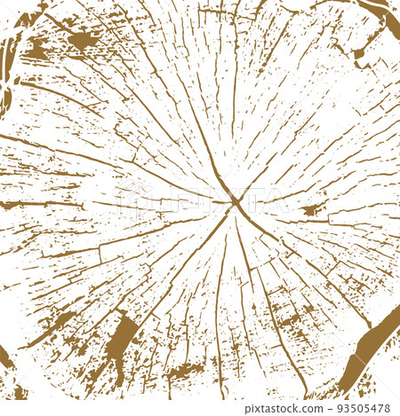 Tree rings saw cut tree trunk background. Vector illustration. Tree rings saw cut tree trunk background. Vector illustration. 93505478