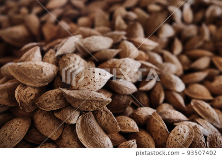 Heap of almond kernels in a nutshell Heap of almond kernels in a nutshell 93507402