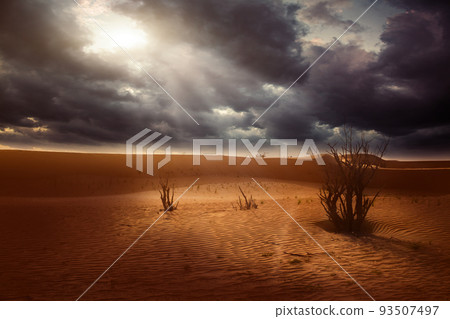 Sunset in the desert sand dunes background Sunset in the desert sand dunes background 93507497
