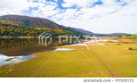 Aerial drone view of amazing autumn colors on the lake. Cerknisko lake, Slovenia Aerial drone view of amazing autumn colors on the lake. Cerknisko lake, Slovenia 93509153