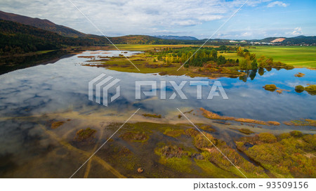 Aerial drone view of amazing autumn colors on the lake. Cerknisko lake, Slovenia 93509156