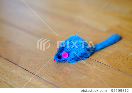 在跟隨環中發現老鼠 在跟隨環中發現老鼠 93509812