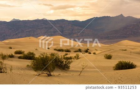 Mesquite Dunes in Death Valley National Park, California is a constantly changing phenomenon. Mesquite Dunes in Death Valley National Park, California is a constantly changing phenomenon. 93511253