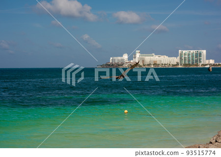 Big Pelican flies over the sea against a blue sky Big Pelican flies over the sea against a blue sky 93515774