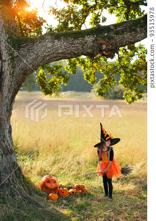 A five-year-old girl in a witch costume riding on a broomstick looks away. The trunk of a oak tree in a field with tall dry grass in the rays of the setting sun. Traditions in Halloween.trick or treat A five-year-old girl in a witch costume riding on a broomstick looks away. The trunk of a oak tree in a field with tall dry grass in the rays of the setting sun. Traditions in Halloween.trick or treat 93515978