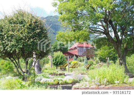 敖南町古木之森公園的景色 93516172