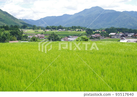 Onan town summer countryside scenery Onan town summer countryside scenery 93517640