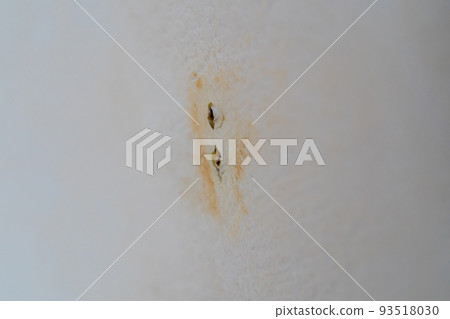rust stains on wallpaper rust stains on wallpaper 93518030