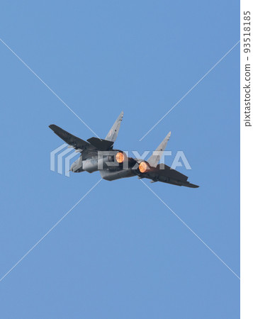 Polish Air Force MiG-29 Demonstration Team 93518185