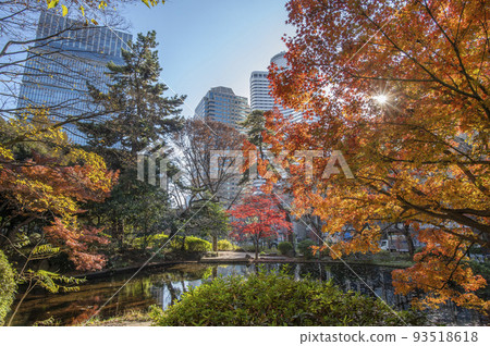 Kioicho, Chiyoda-ku, Tokyo, high-rise building surrounded by autumn foliage, Shimizudani Park, autumn foliage Kioicho, Chiyoda-ku, Tokyo, high-rise building surrounded by autumn foliage, Shimizudani Park, autumn foliage 93518618
