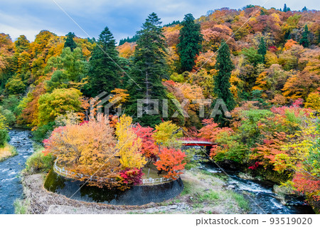 青森縣黑石市中野紅葉山～被紅葉染紅的山和中野川～ 93519020