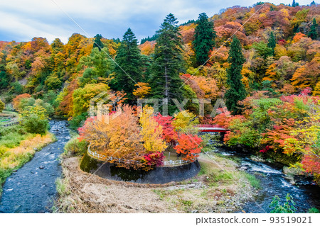 Nakano Momiji Mountain, Kuroishi City, Aomori Prefecture ~A mountain and Nakano River colored with autumn leaves~ 93519021