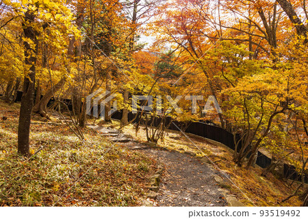 Autumn in Oku-Nikko, one of Japan's leading tourist destinations, British Embassy Villa Memorial Park with autumn leaves Autumn in Oku-Nikko, one of Japan's leading tourist destinations, British Embassy Villa Memorial Park with autumn leaves 93519492