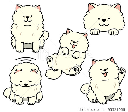 一套白色博美犬 一套白色博美犬 93521966
