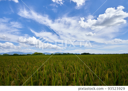 Onaka reclaimed land and blue sky copy space in summer Onaka reclaimed land and blue sky copy space in summer 93523929