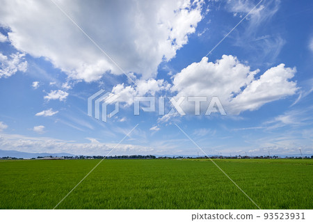 Onaka reclaimed land and blue sky copy space in summer Onaka reclaimed land and blue sky copy space in summer 93523931