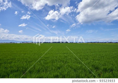 Onaka reclaimed land and blue sky copy space in summer 93523933