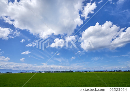 Onaka 夏天開墾土地和藍天復制空間 93523934