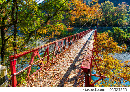 Semboku City, Akita Prefecture Dakikaeri Gorge dyed in autumn leaves ~Kami no Iwahashi~ 93525253