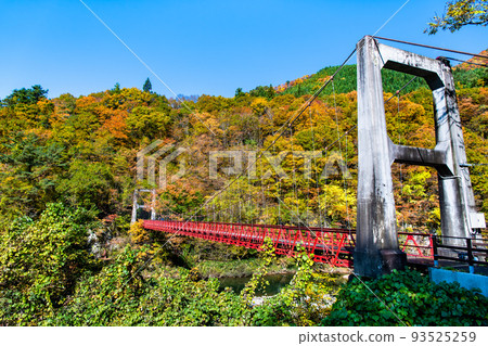 Semboku City, Akita Prefecture Dakikaeri Gorge dyed in autumn leaves ~Kami no Iwahashi~ 93525259