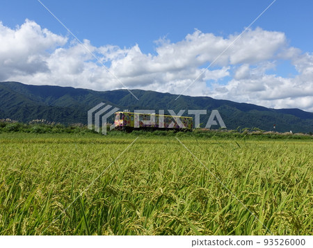 花長井線秋天稻穗 93526000