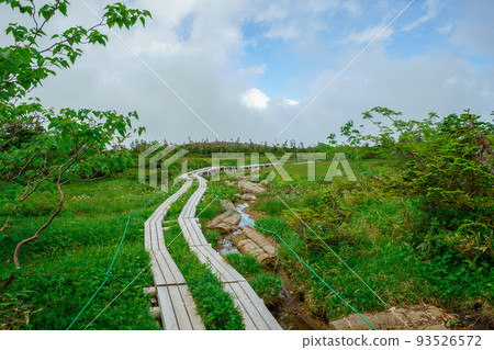 杉池高原的木棧道 杉池高原的木棧道 93526572
