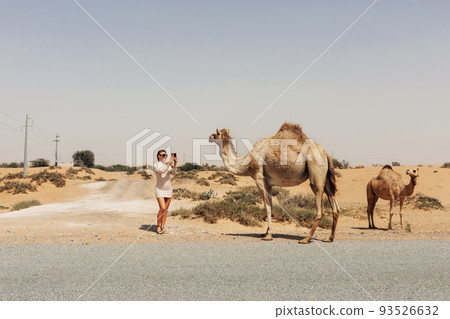 An attractive girl poses next to camels during a trip to the desert An attractive girl poses next to camels during a trip to the desert 93526632