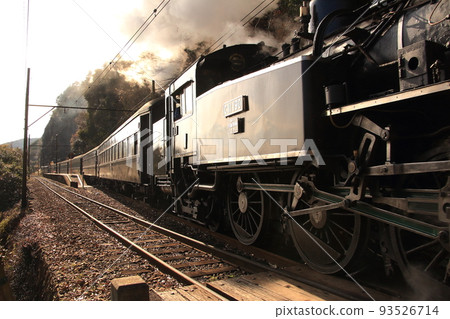 A steam locomotive passing through Kamio Station on the Oigawa Railway Oigawa Main Line 93526714