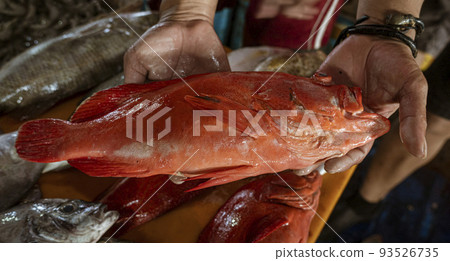 Java, Indonesia, June 13, 2022 - Large red snapper fish being held by vendor in fish market 93526735