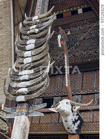 Java, Indonesia, June 13, 2022 - Bulls head and horns mounted on the front of a Toraja home 93526829
