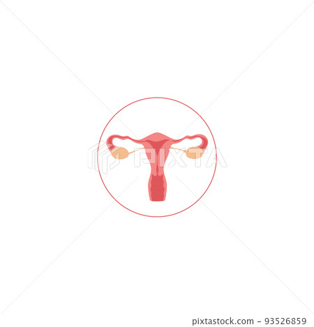 Female reproductive system. Woman organs. Vector illustration isolated Female reproductive system. Woman organs. Vector illustration isolated 93526859