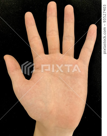 hand  93527403