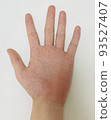 hand  93527407