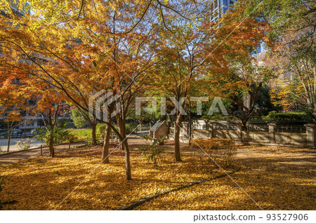 東京都千代田區清水穀公園秋天紀尾井町 東京都千代田區清水穀公園秋天紀尾井町 93527906