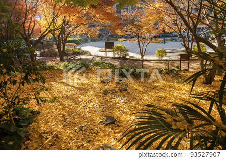 東京都千代田區清水穀公園秋天紀尾井町 東京都千代田區清水穀公園秋天紀尾井町 93527907