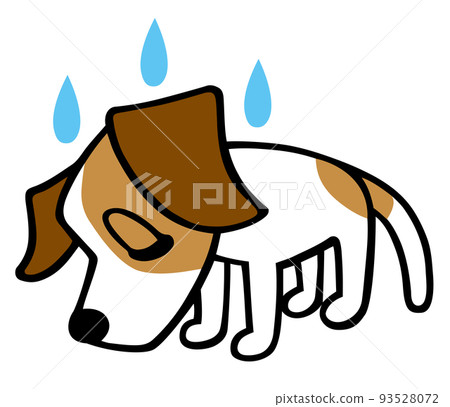 Jack Russell Terrier dog reflection pose Jack Russell Terrier dog reflection pose 93528072