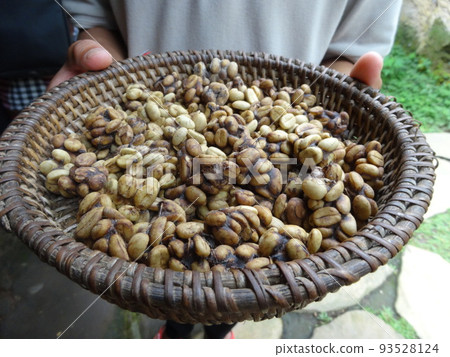 Civet Coffee "Kopi Luwak" Coffee Beans 93528124