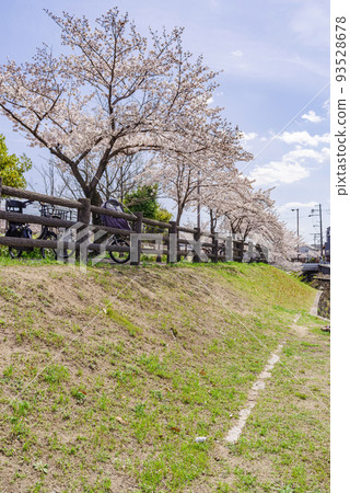 Toyonaka City, Osaka Prefecture, Senri River in spring, row of cherry blossom trees blooming along the embankment 93528678