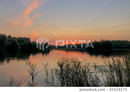 Summer sunset over calm lake 93529173