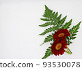 Red Gerbera Flower 93530078