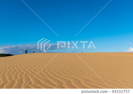 Tottori sand dunes of fine weather Tottori sand dunes of fine weather 93531757