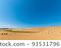 Tottori sand dunes of fine weather 93531796