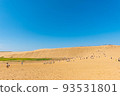 Tottori sand dunes of fine weather 93531801