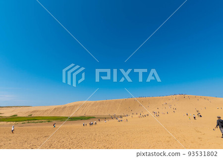 天氣晴朗的鳥取沙丘 天氣晴朗的鳥取沙丘 93531802