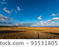 Tottori sand dunes of fine weather 93531805