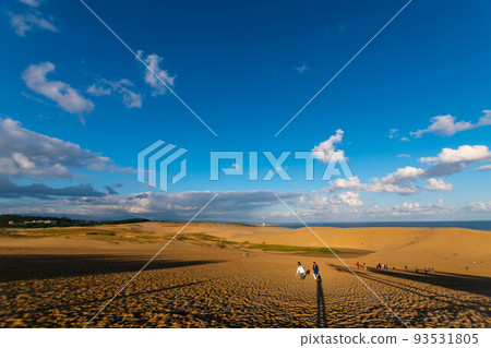 Tottori sand dunes of fine weather 93531805