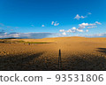 Tottori sand dunes of fine weather 93531806