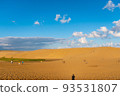 Tottori sand dunes of fine weather 93531807